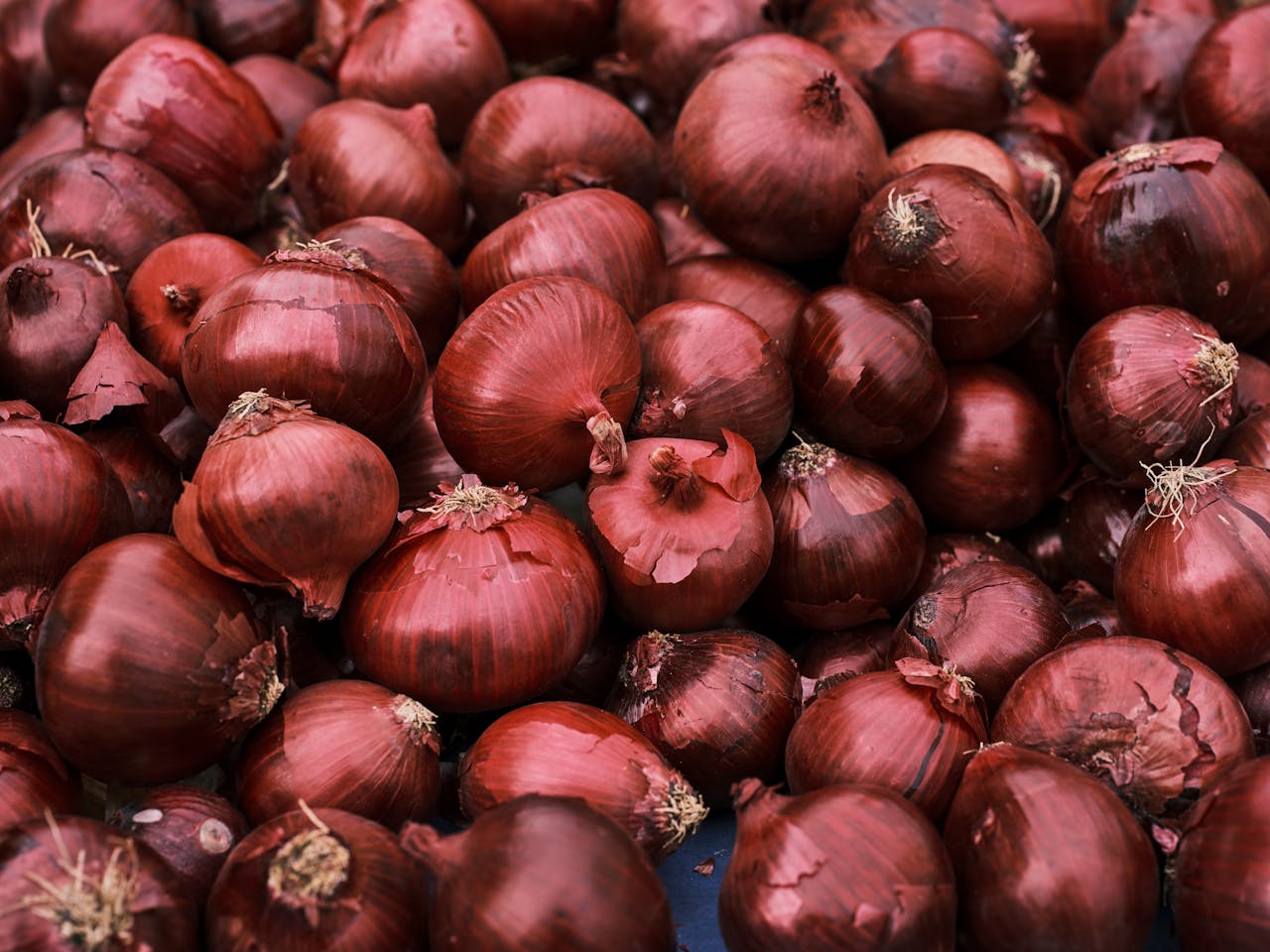 Red Onions